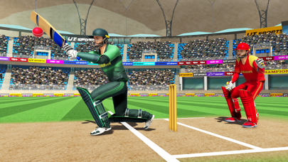 World T20 Cricket Championship Screenshot