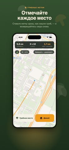 MushTrail: Навигатор леса iPhone screenshot 2