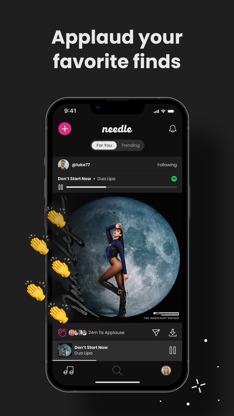 Needle Music screenshot 6