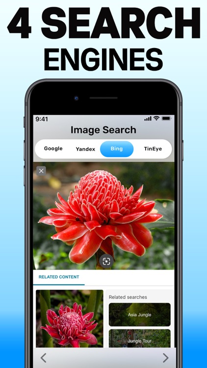 Image Search App