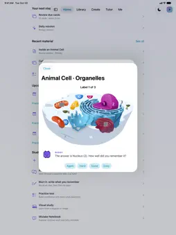 Study.Buddy screenshot 15
