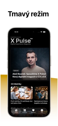 X Pulse screenshot