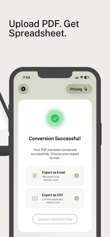 Bank Statement - PDF to XLS iPhone screenshot