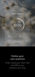 Endor Global screenshot 9