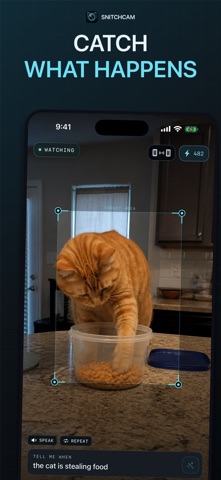 Snitch: Motion Detector Camera Screenshot 1 of 5
