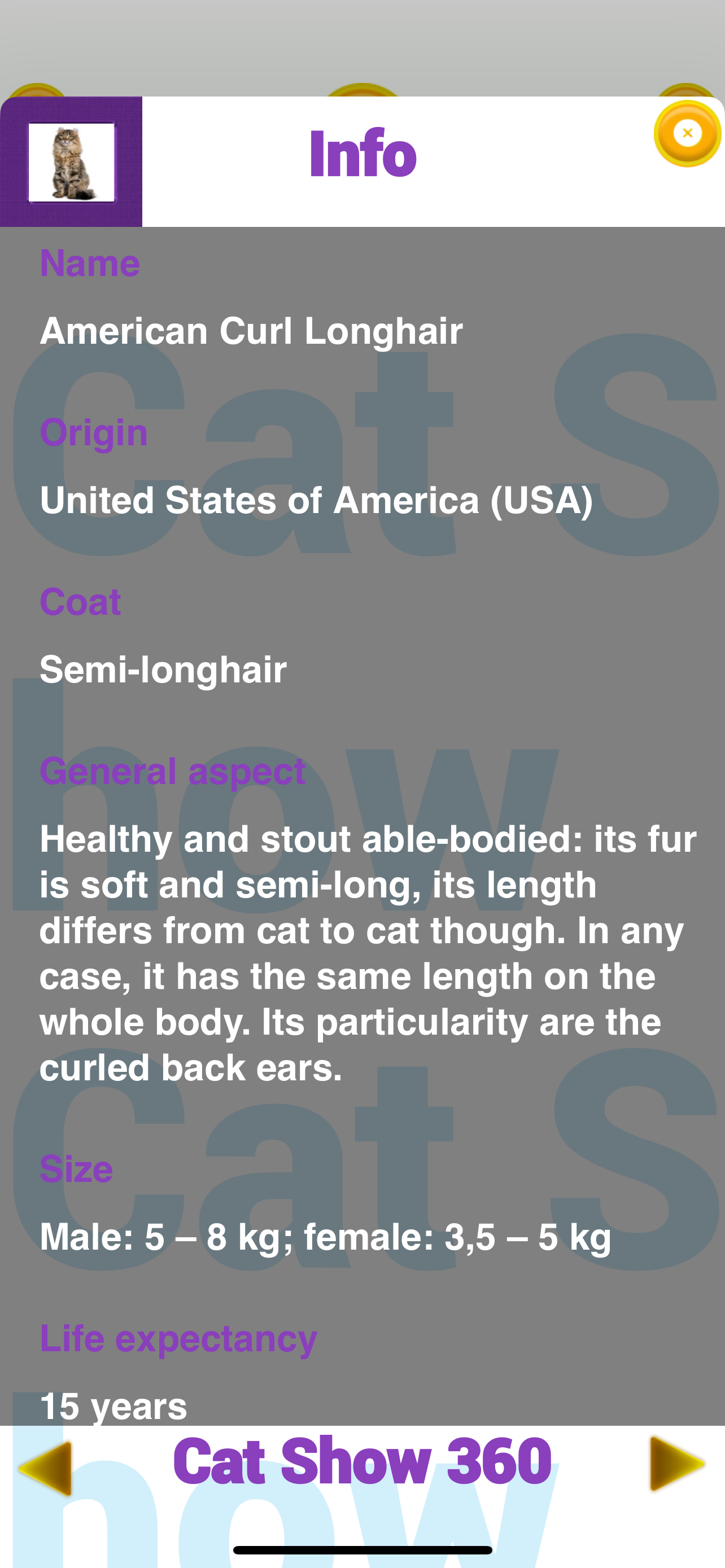 Cat Show 360