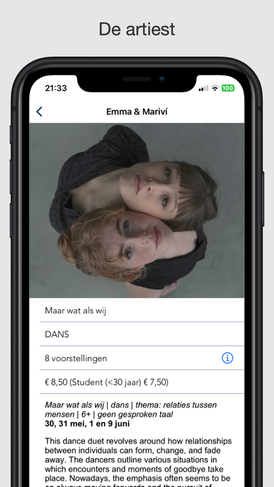 Delft Fringe Festival Screenshot