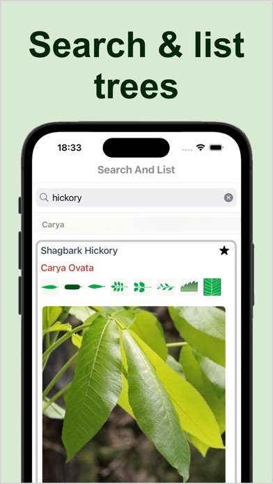 Forest Tree Identification Screenshot 4 - AppWisp.com Forest Tree Identification Screenshot 4 - AppWisp.com