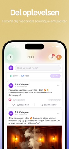 VikingeGuZ screenshot