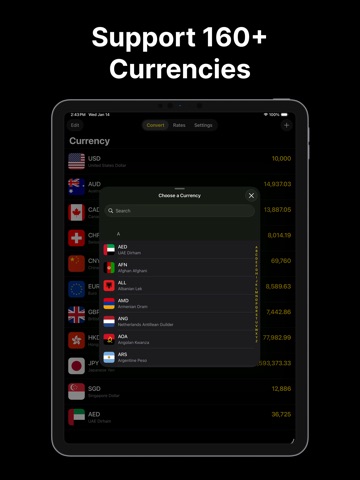 Currency Converter ° iPad screenshot