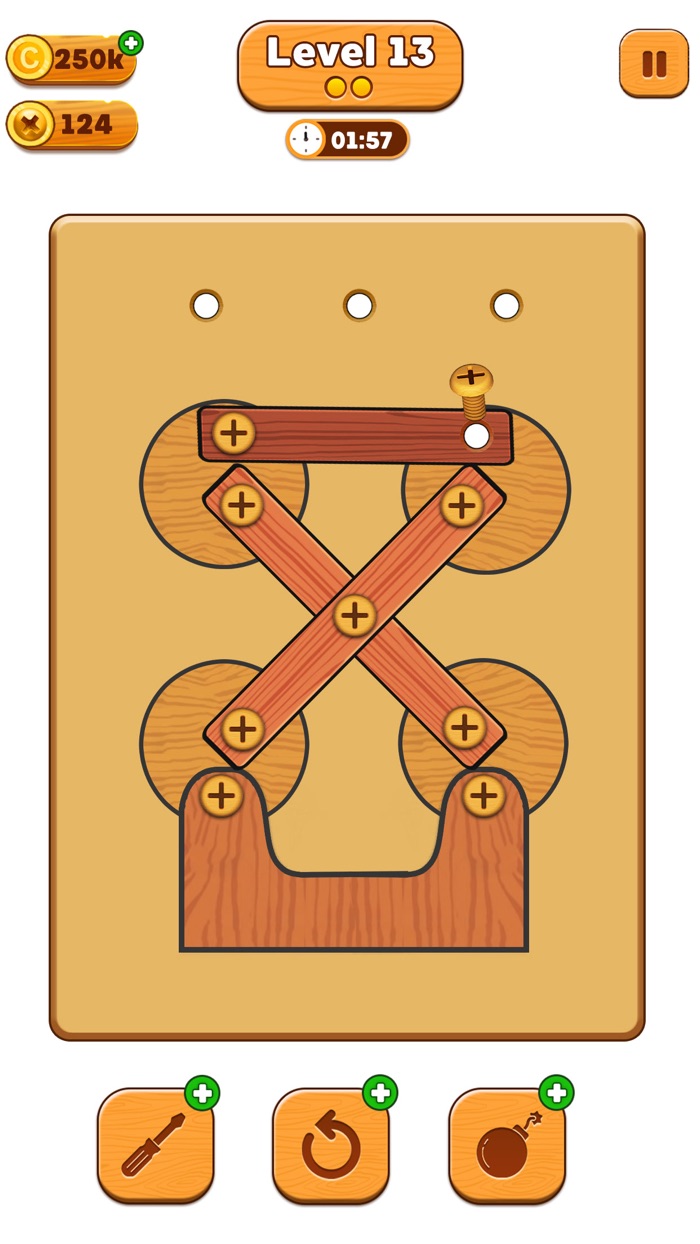 Screw Sorting Wood Puzzle