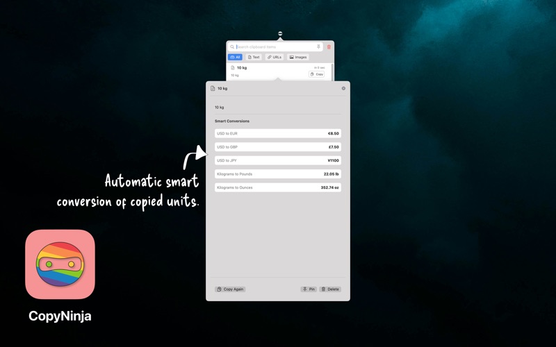 CopyNinja app screenshot