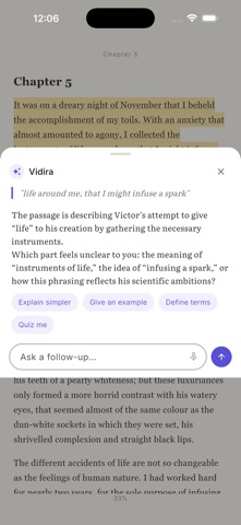 Vidira screenshot 1