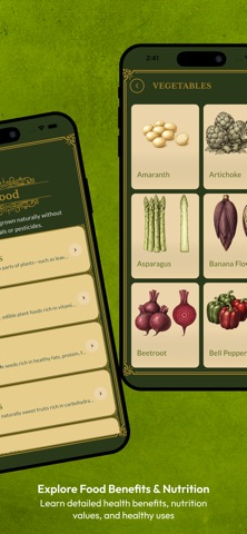 Ancient Food Remedy screenshot