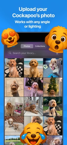 Cockapoo Emoji AI Studio screenshot