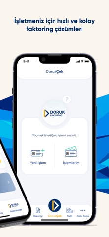 Doruk Faktoring screenshot