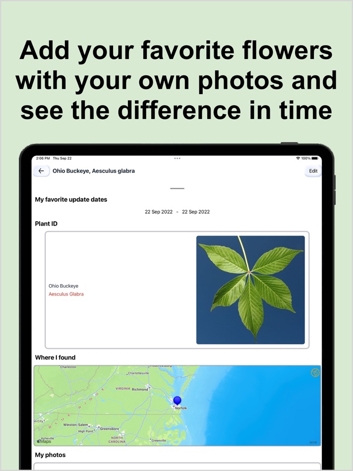 #9. Forest Tree Identification (iOS) Podle: Kesifler Dunyasi Ltd.