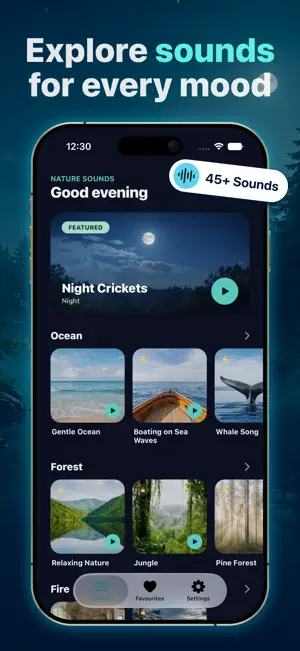Rain & Nature Sounds: Sleep screenshot 2