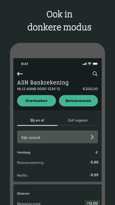 ASN Bank Screenshot