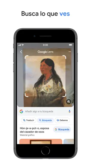 Captura de pantalla de Google en iPhone 3
