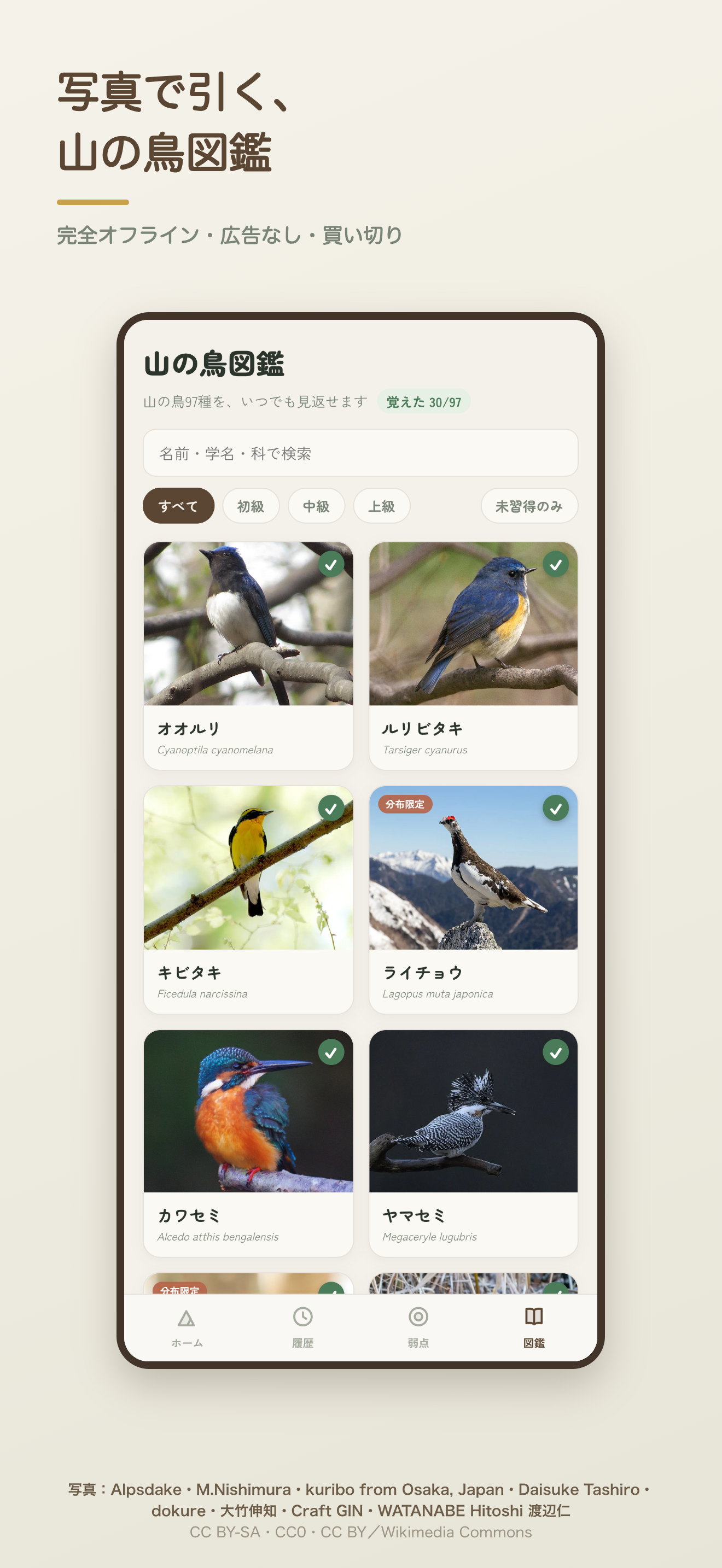 山の鳥名人 野鳥の名前がわかる図鑑クイズ screenshot 5