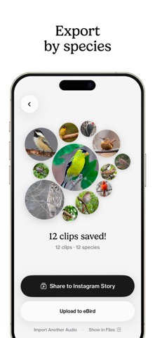 Chirper: Bird Audio Trimmer Screenshot 2 of 6