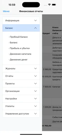 Скриншот Нано баланс на iPhone 2