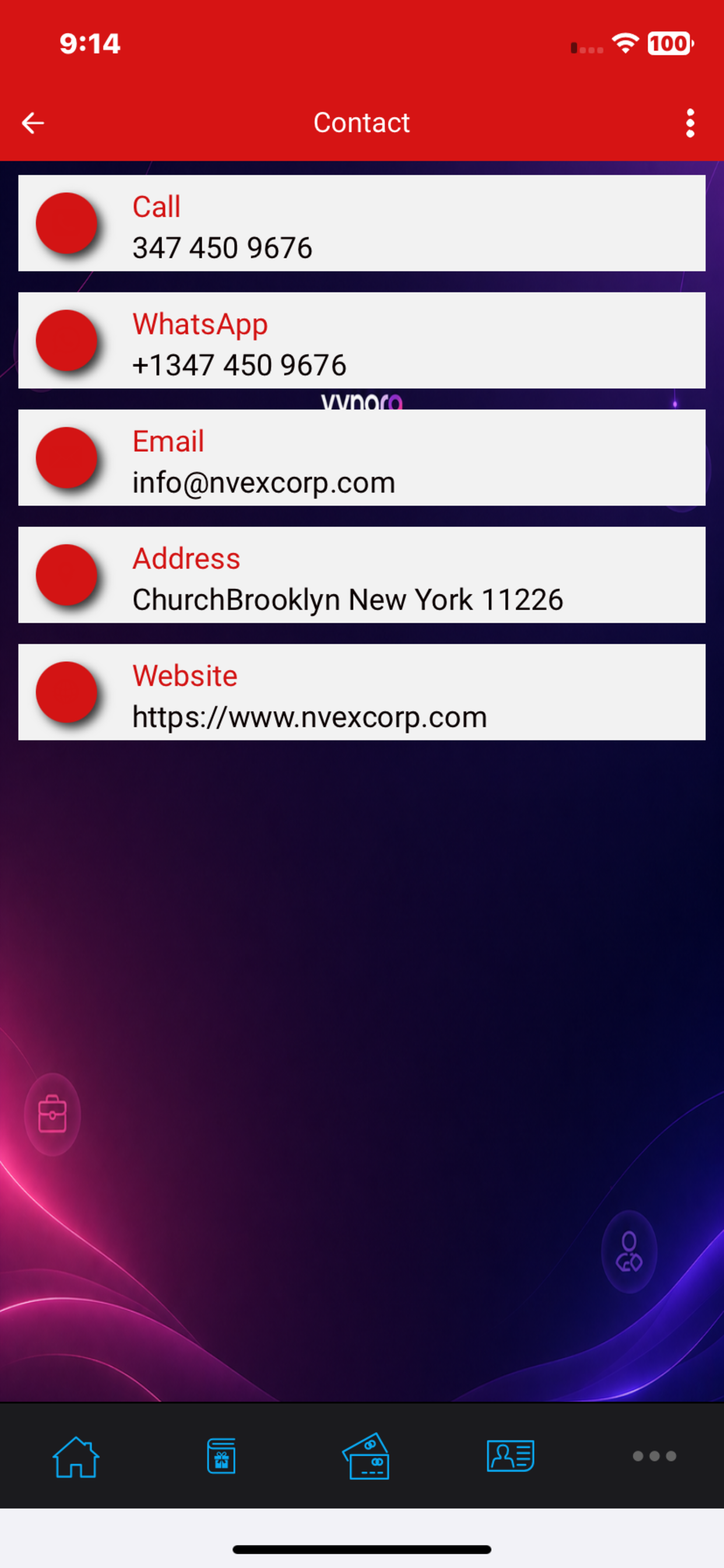 Vynara screenshot 3