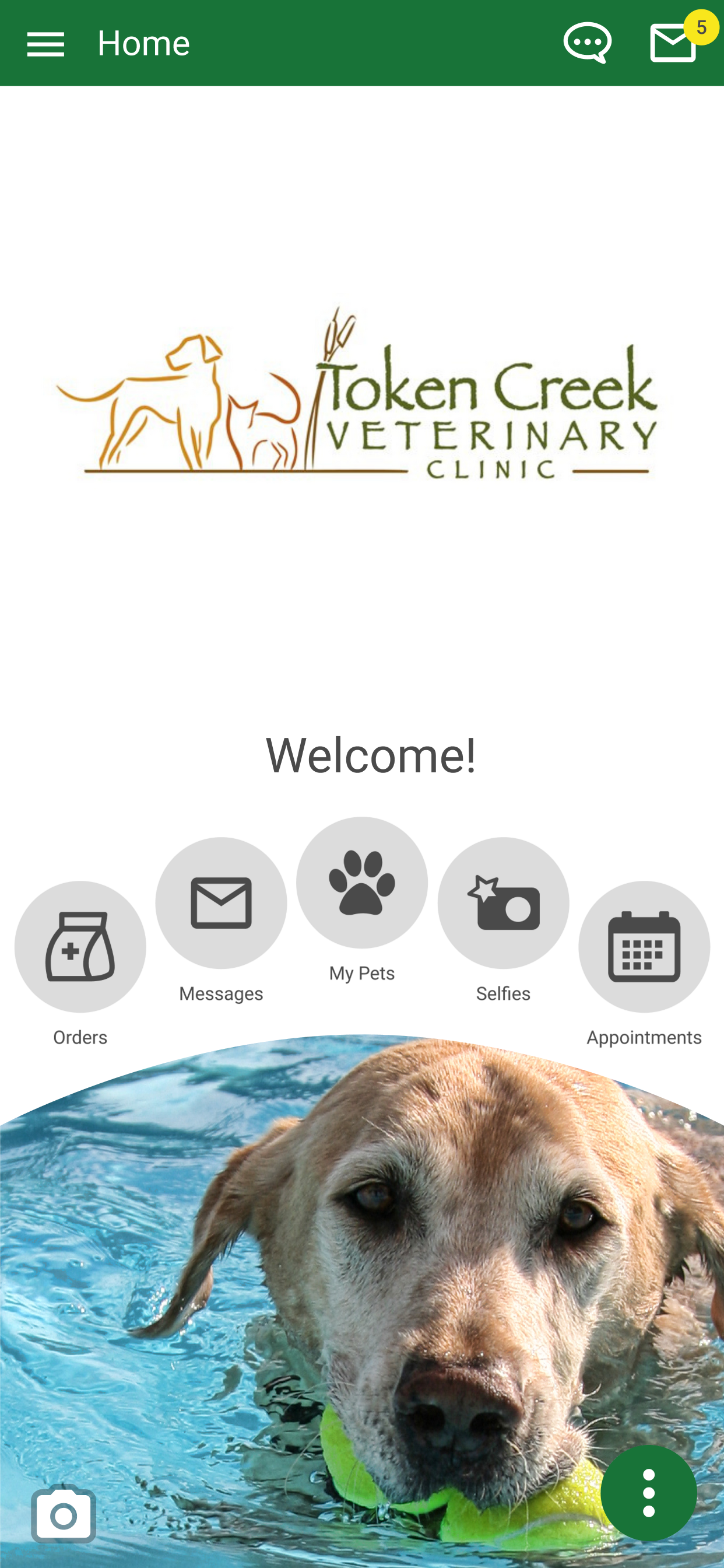 Token Creek Vet Clinic screenshot 2