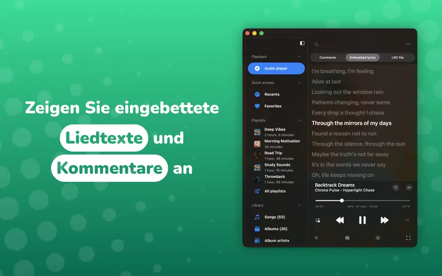 Screenshot von Evermusic auf dem iPhone 3