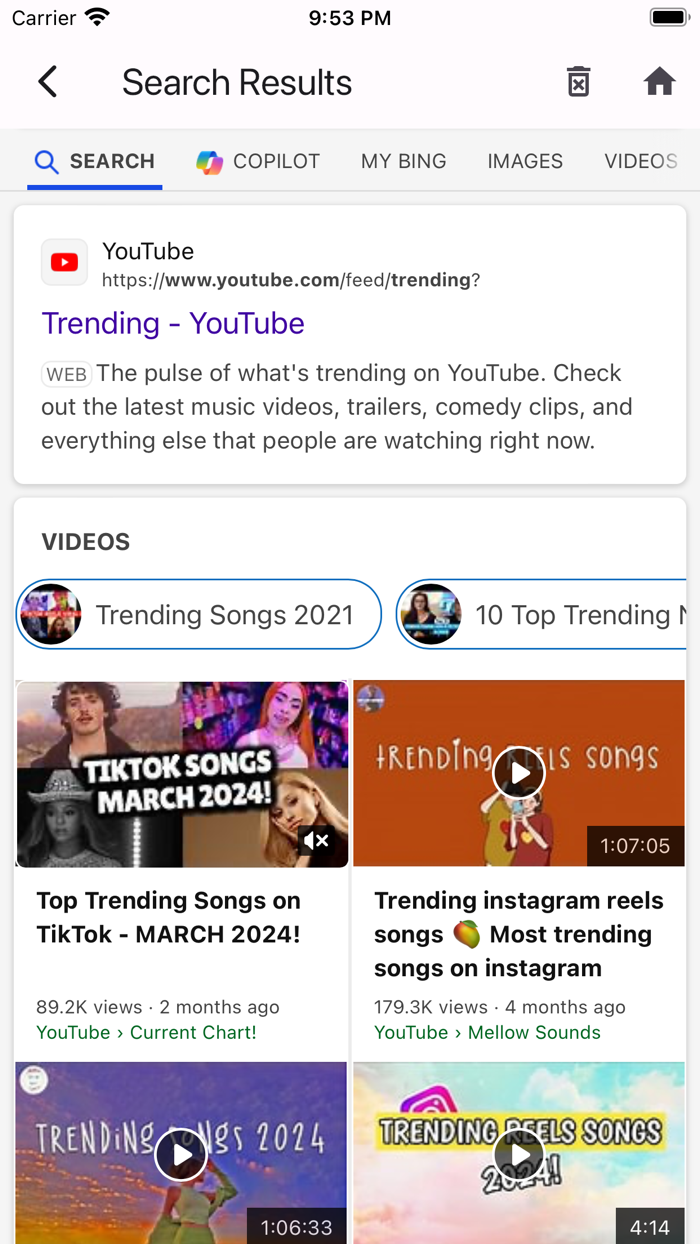 Ple Browser - Ultra Secure