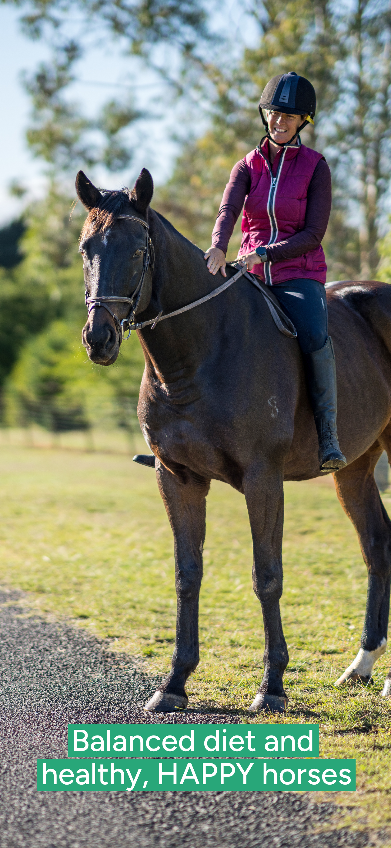 MyHappy.Horse