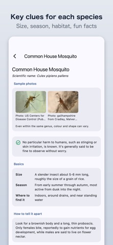 AI Insect Field Notes Screenshot 3 of 5