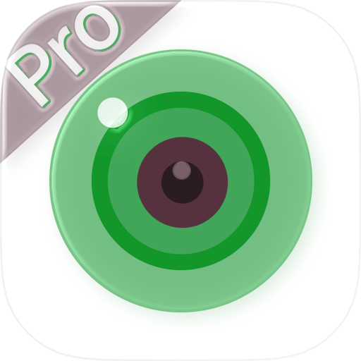 iCSee Pro