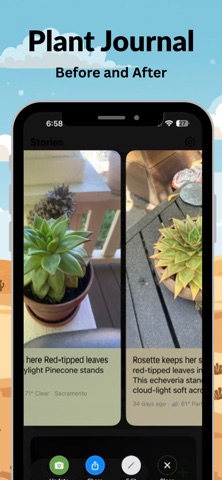 Fernie: 拍照识花草与植物管家 screenshot