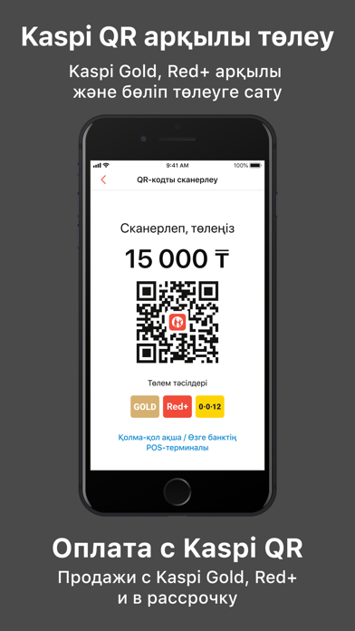 Kaspi Pay screenshot 2