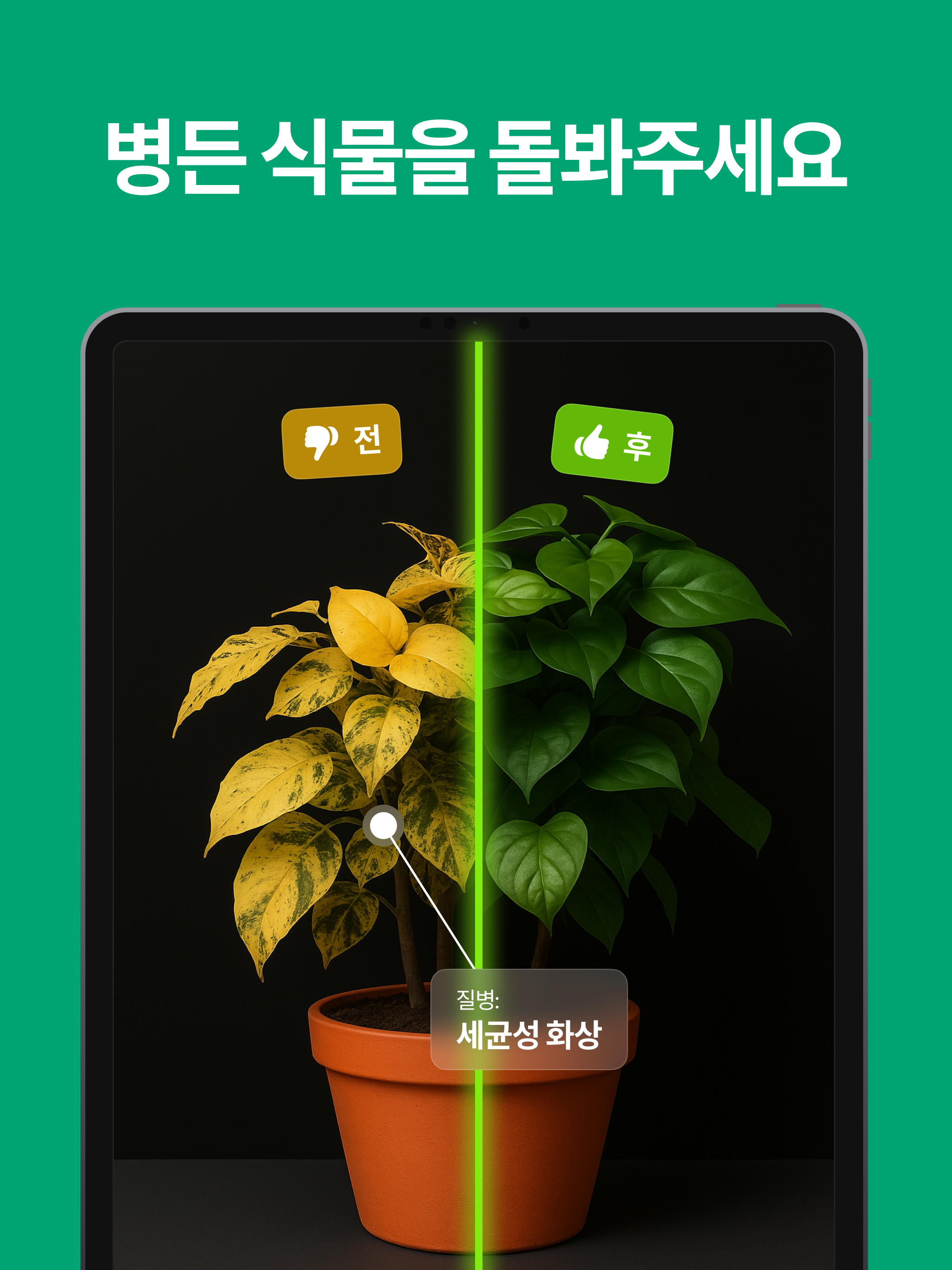 https://is1-ssl.mzstatic.com/image/thumb/PurpleSource211/v4/ef/f3/b1/eff3b1dd-5024-3e18-aa72-b1d76f12e01f/Cor_08-iPad.jpg/2048x2732.png