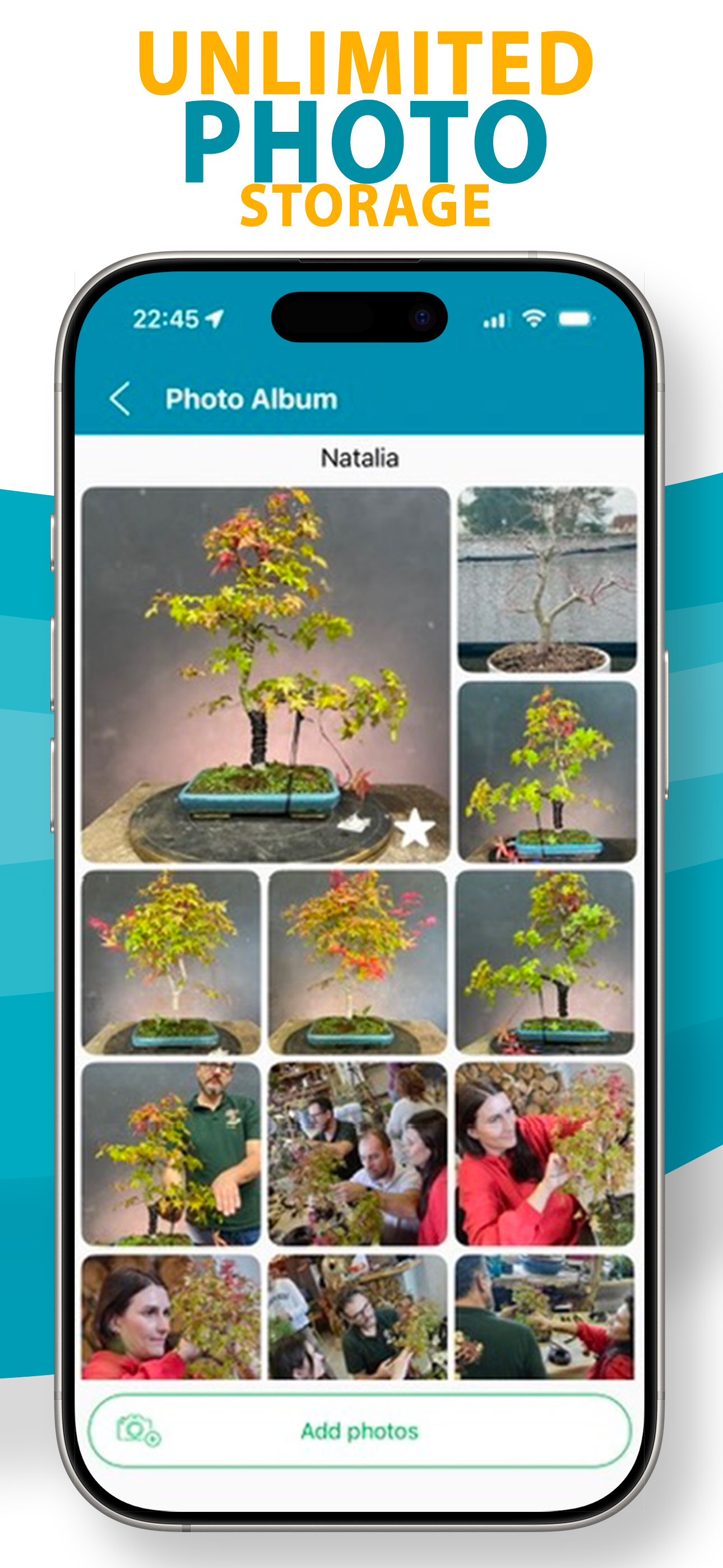Appy Bonsai - Bonsai Care