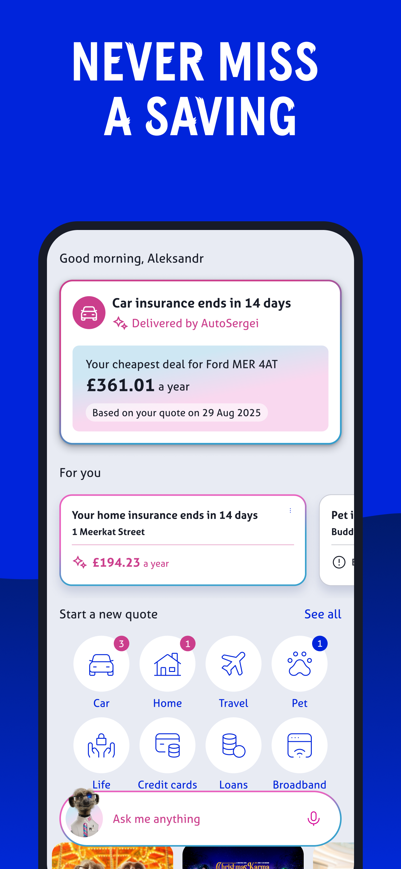 Compare the Market: Meerkat
