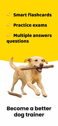 K9 Trainer Mastery Screenshot 4 of 6