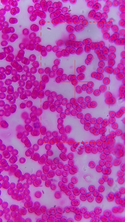 M-Scope screenshot-5