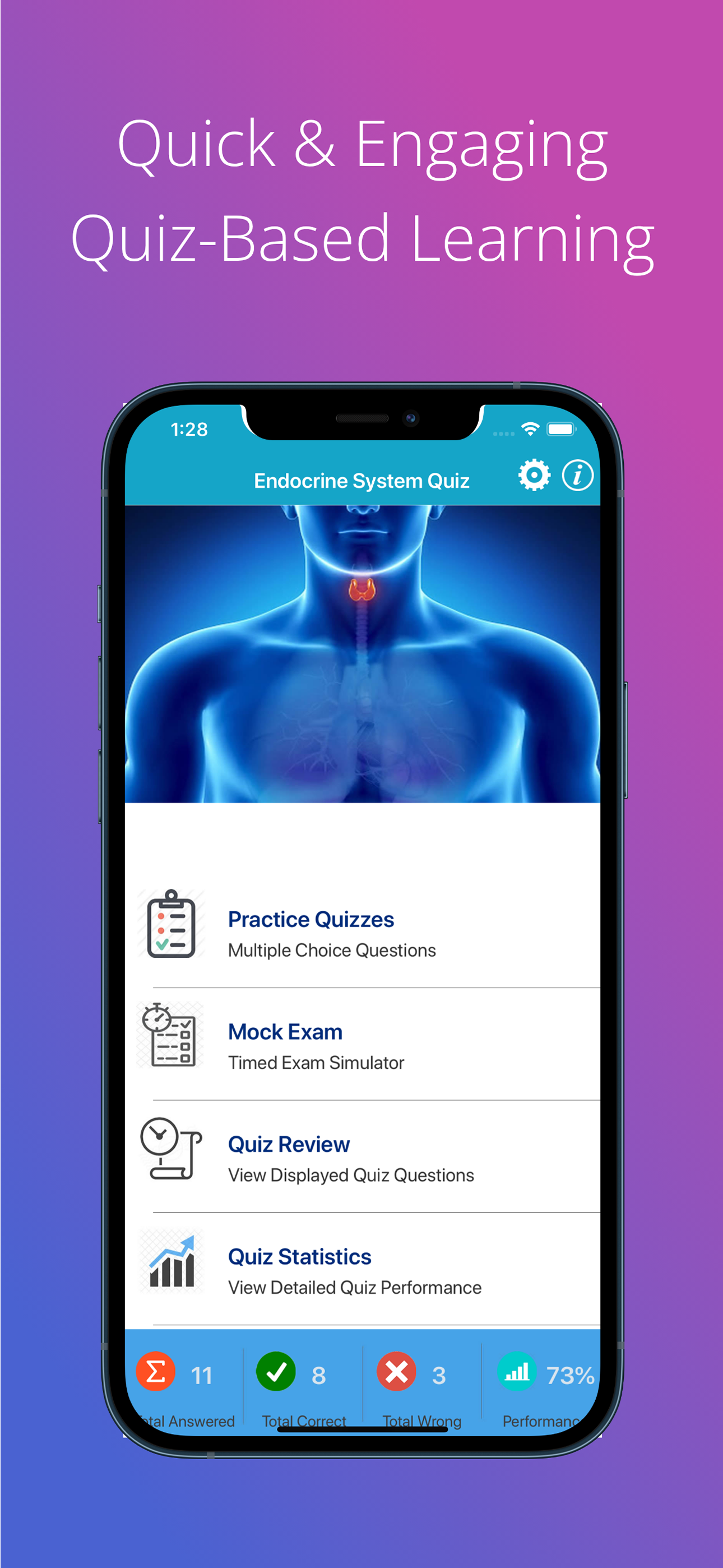 Endocrine System Quizzes