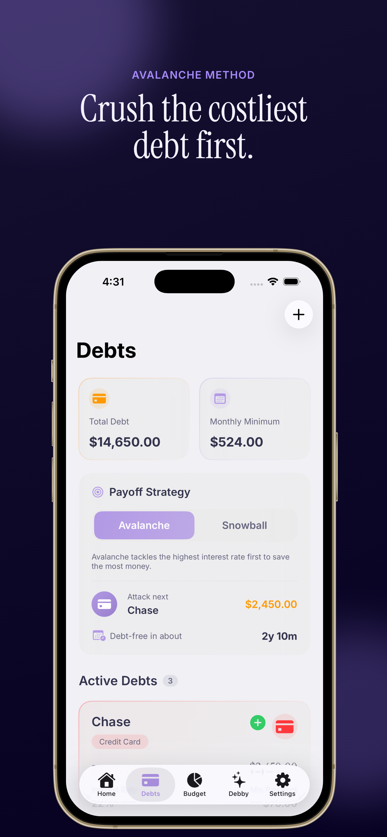 Debtless screenshot 4