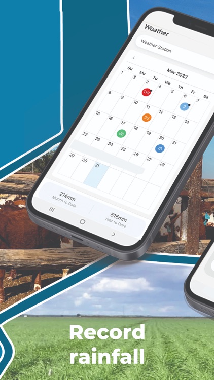 Phoenix Live screenshot-5