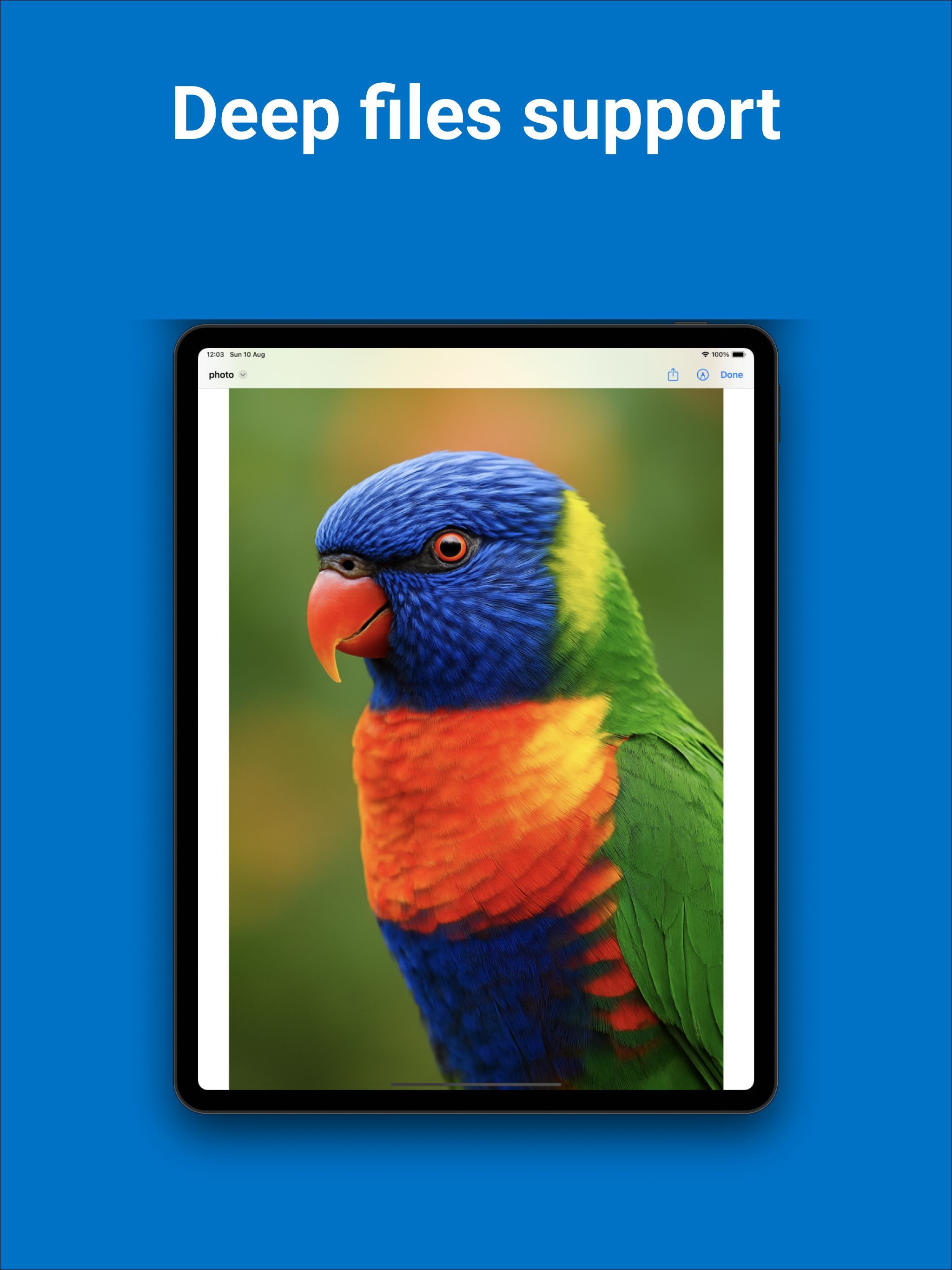Email Reader