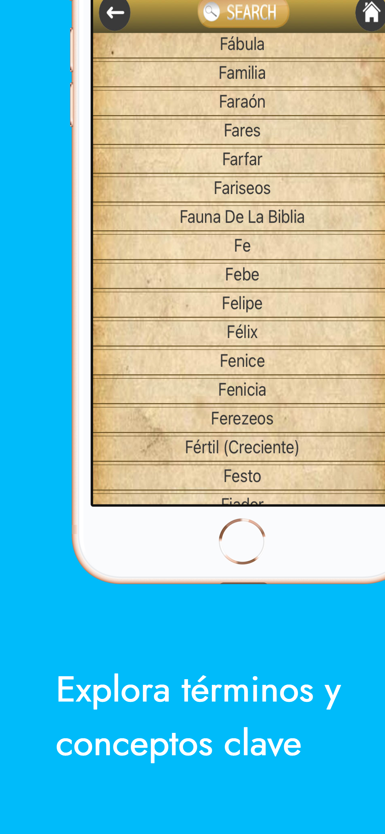 Diccionario Bíblico y Bibia screenshot 4