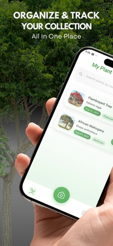 Tree Identifier ID screenshot