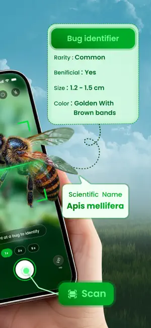 Bug Identifier- Scan Insect ID screenshot 2
