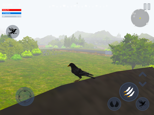 ‎Raven Crow Flight Simulator 3d Screenshot