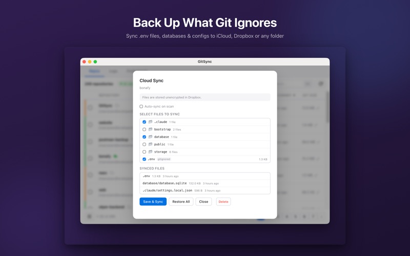 GitSync Lite screenshot
